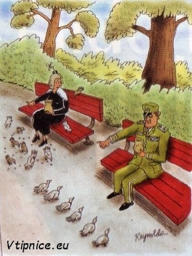 Vtipné a srandovní obrázky s textem na Facebook Google- krmení holubů