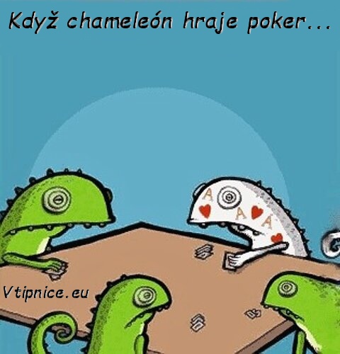 Vtipné a srandovní obrázky s textem na Facebook - chameleón hraje poker