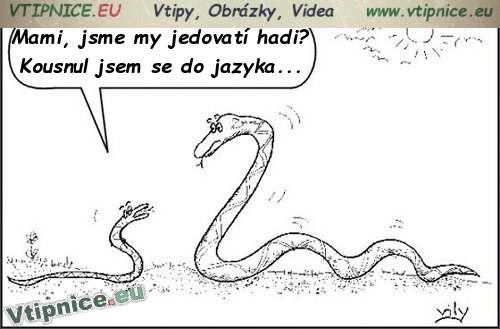 Kreslené vtipy na facebook - hadi