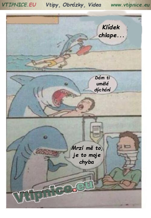 Vtipné obrázky s textem - žralok