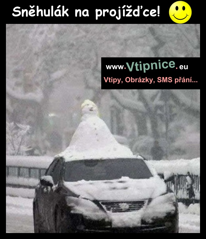 Srandovní obrázky - sněhulák na autě