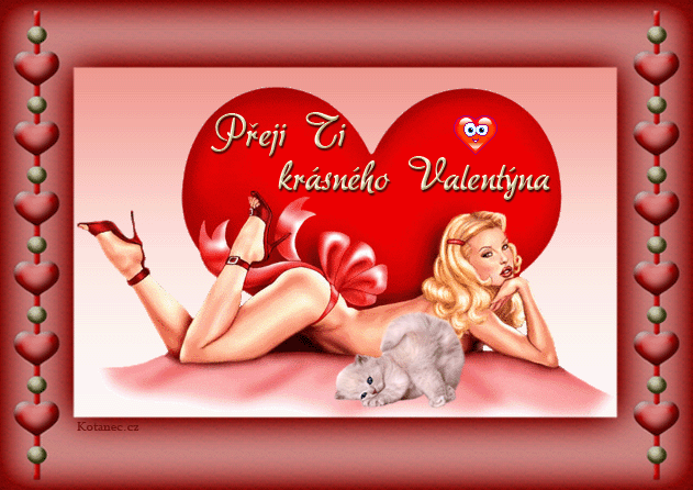 Valentýnské přání - krásný valentýn