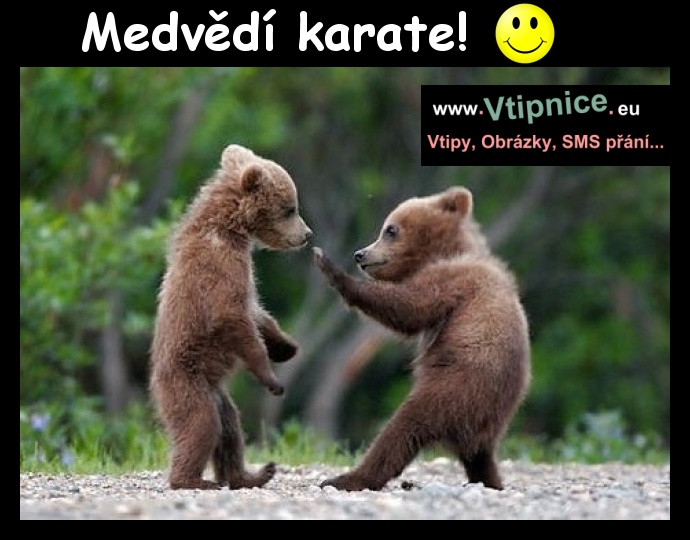 Srandovní obrázky - karate